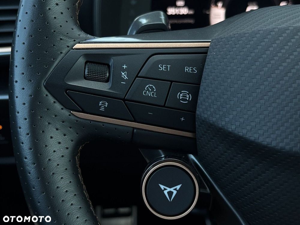 Cupra Formentor 1.5 eTSI mHEV DSG - 17