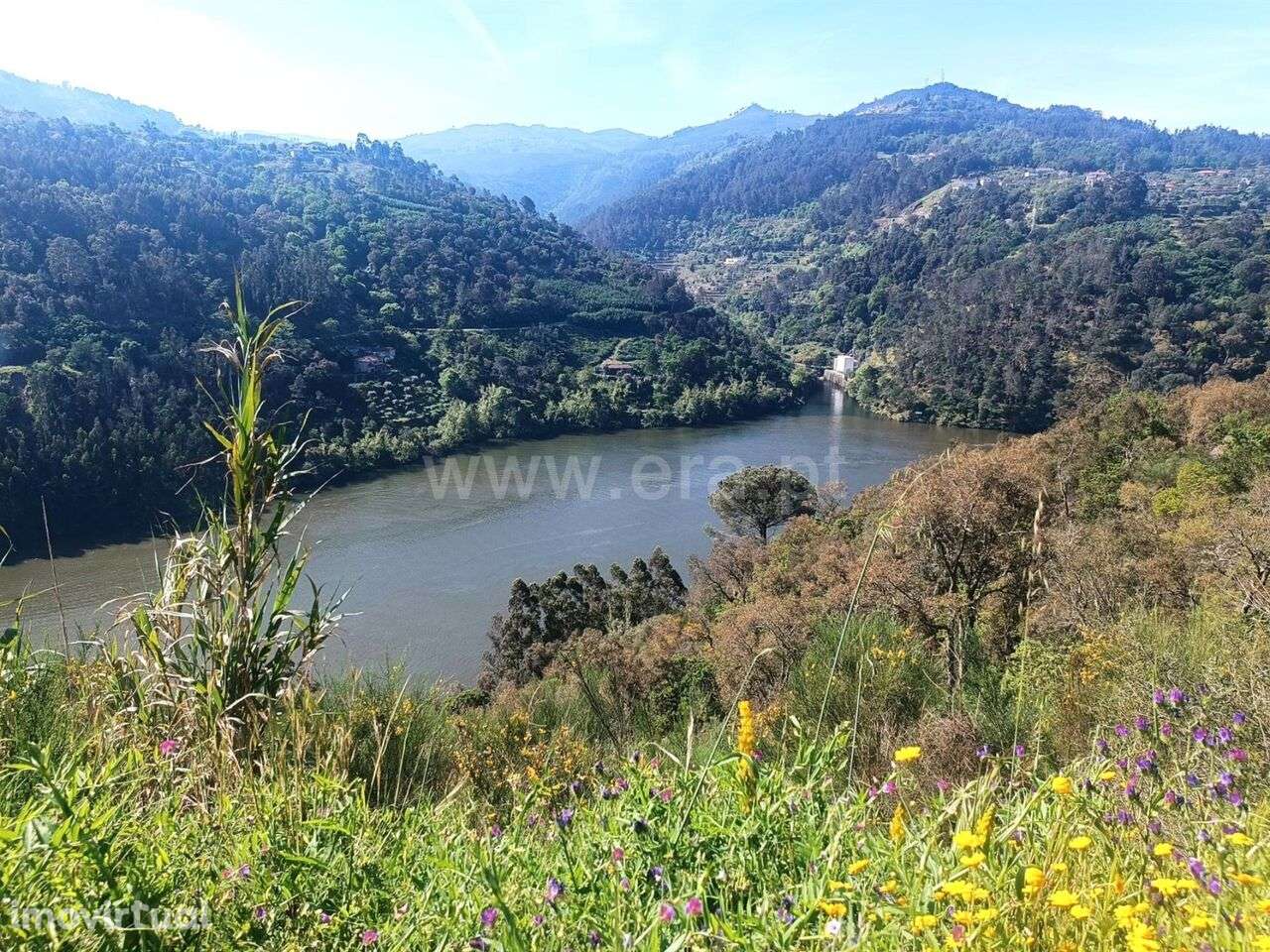 Terreno / Baião, Ancede e Ribadouro - Grande imagem: 4/11