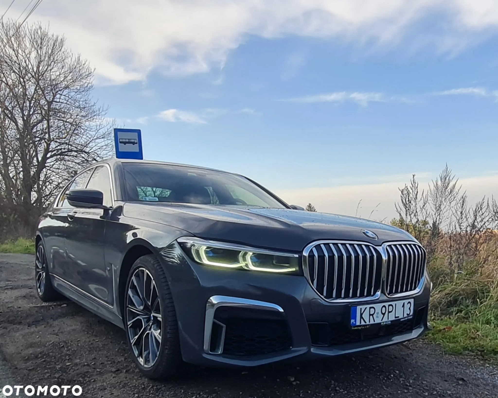 BMW Seria 7 750d xDrive - 13