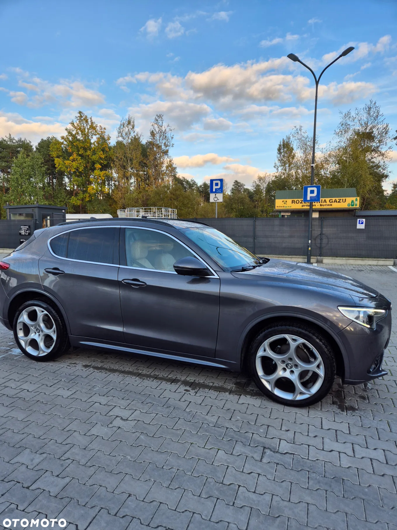 Alfa Romeo Stelvio 2.0 Turbo 16V AT8-Q4 Lusso - 4