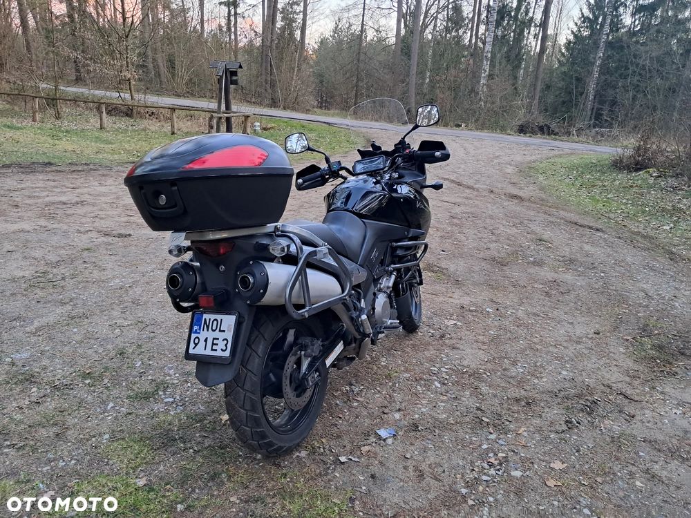 Suzuki DL - 8