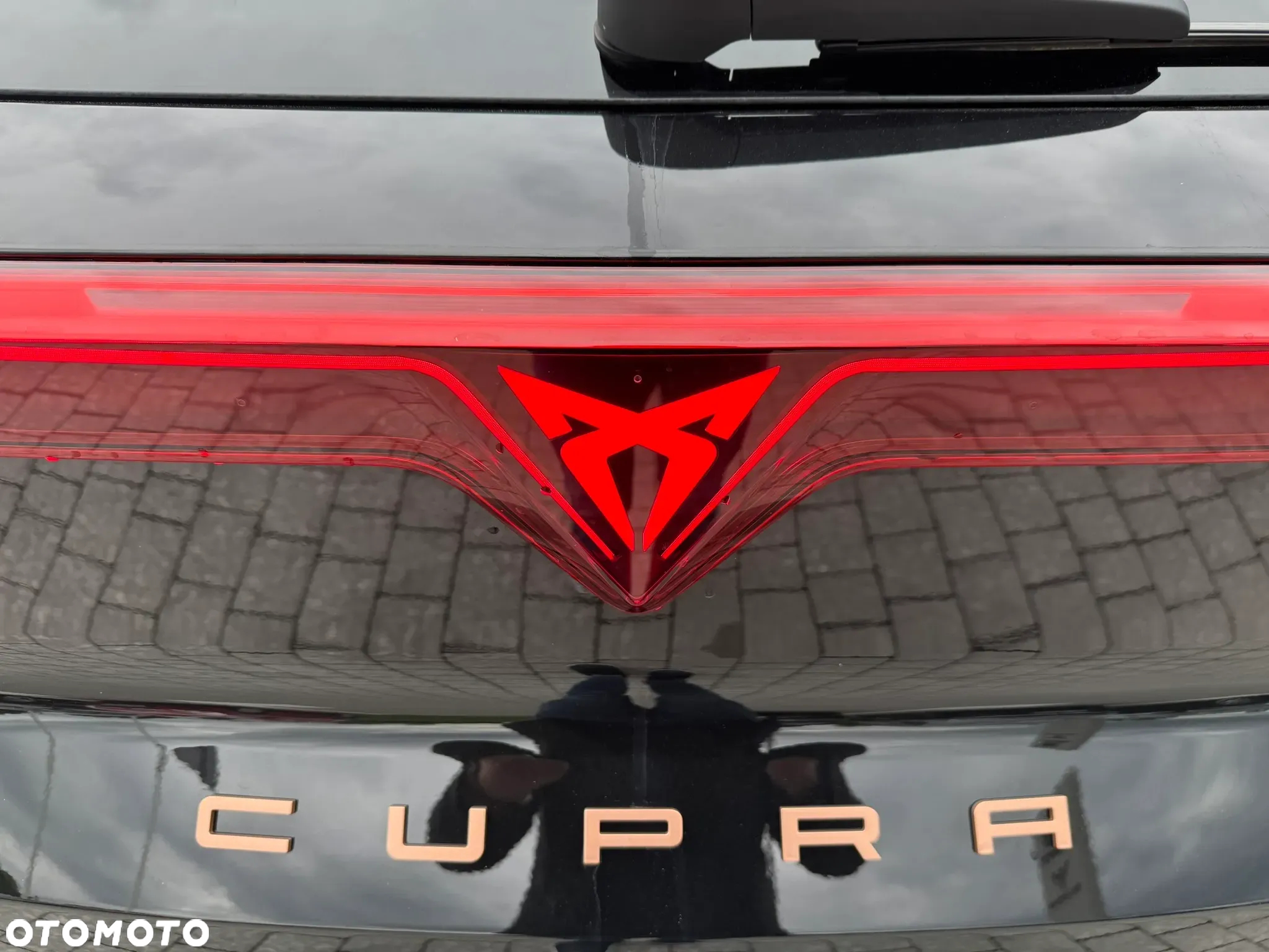 Cupra Terramar 1.5 eTSI mHEV DSG - 7