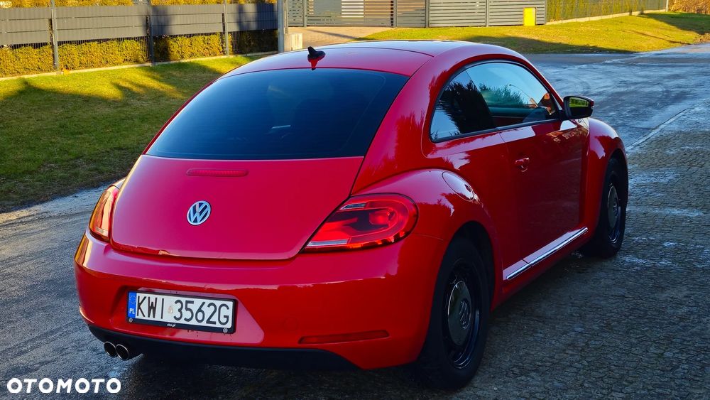 Volkswagen Beetle - 8