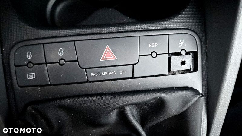 Seat Ibiza - 29