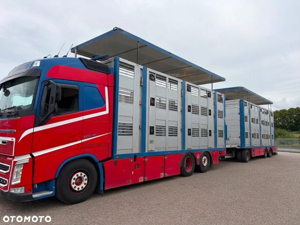 Volvo FH 500 GLOBETROTTER XL 6x2 | MENKE 3-POZIOMY | KOMPLETNY ZESTAW DO TRANSPORTU ZWIERZĄT - 4