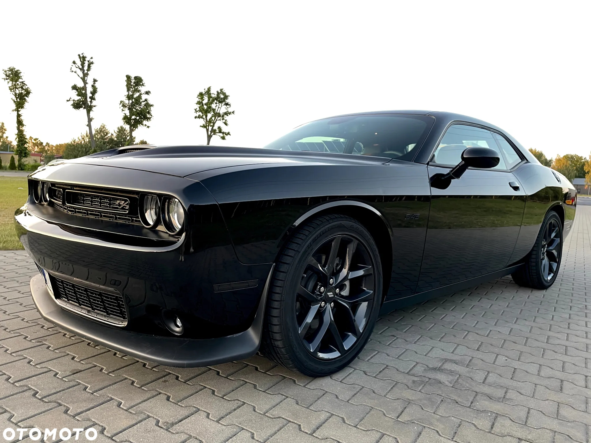 Dodge Challenger - 13