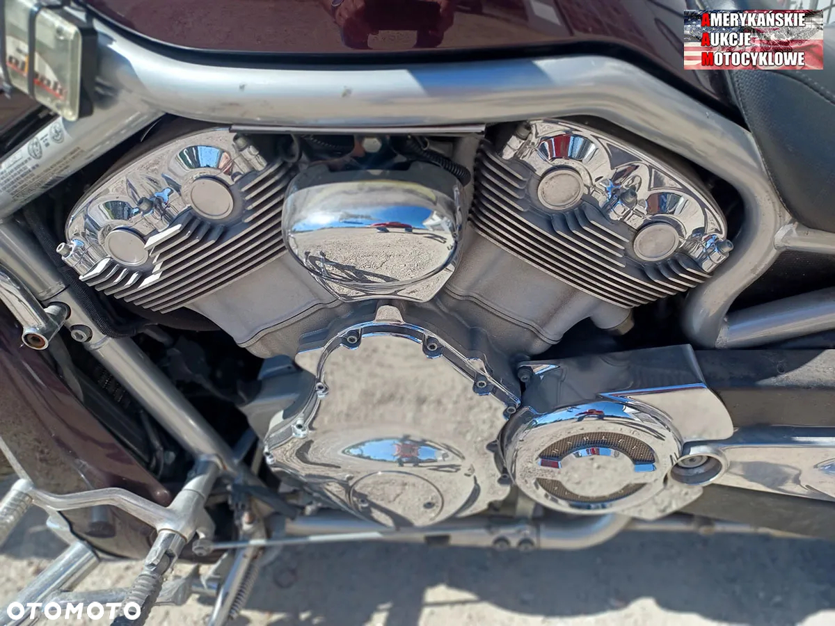 Harley-Davidson V-Rod Street Rod - 10