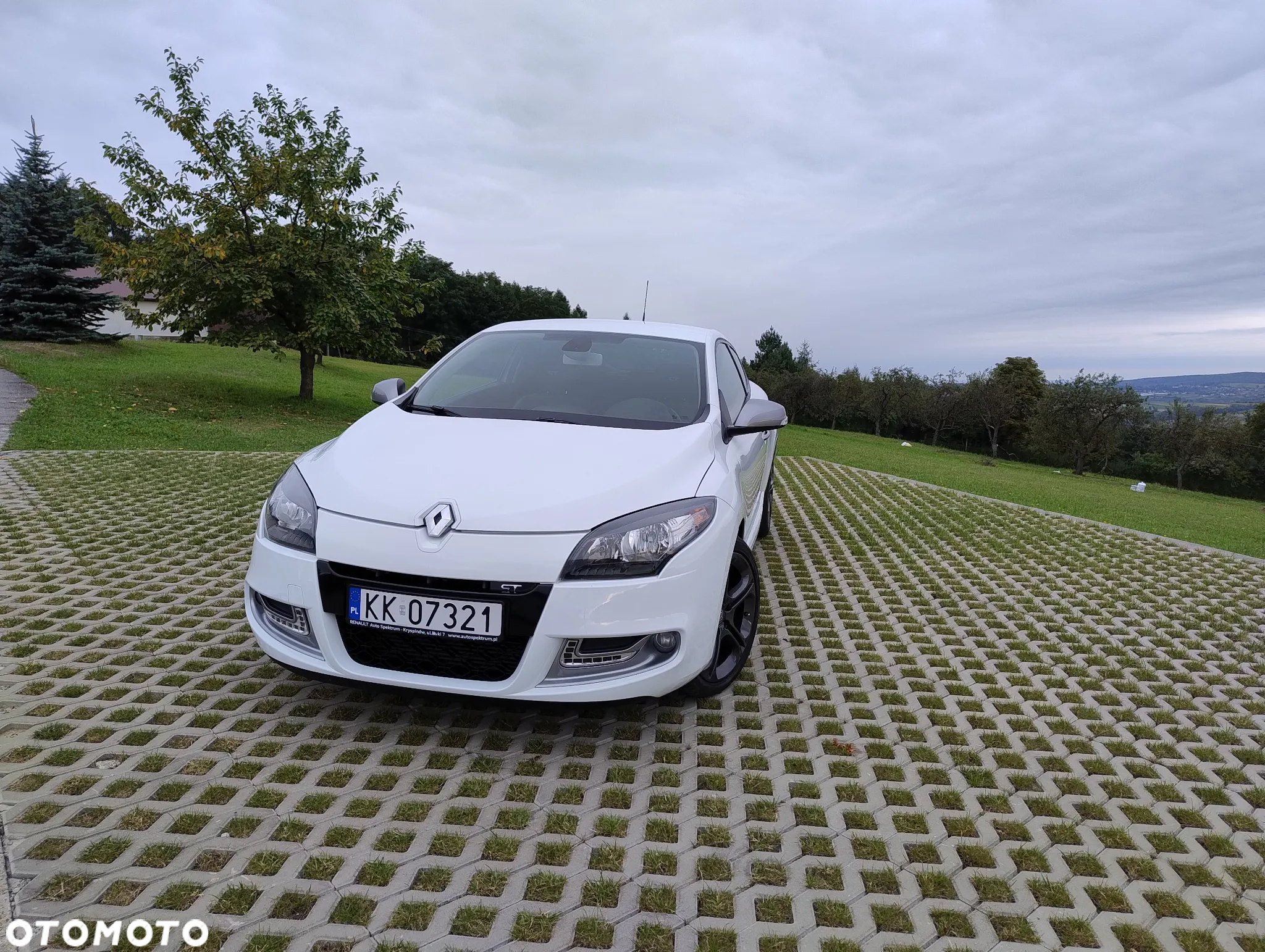 Renault Megane 2.0 16V TCE GT - 3