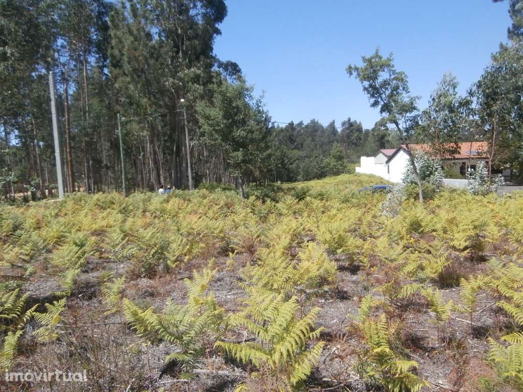 Terreno(s) para construção em Recardães (venda judicial - verba n.º... - Grande imagem: 3/8