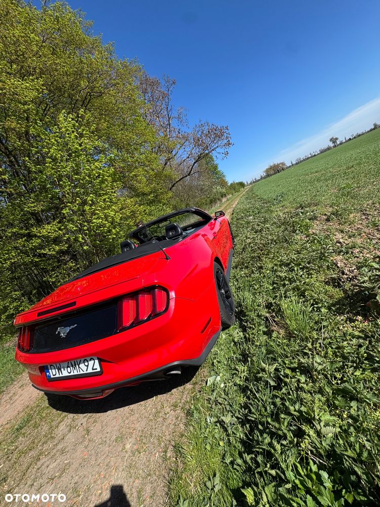 Ford Mustang Cabrio 2.3 Eco Boost - 12