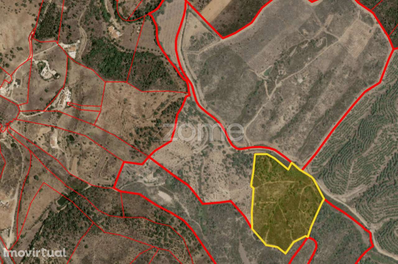 Terrenos Rustico com 19ha - Grande imagem: 3/3