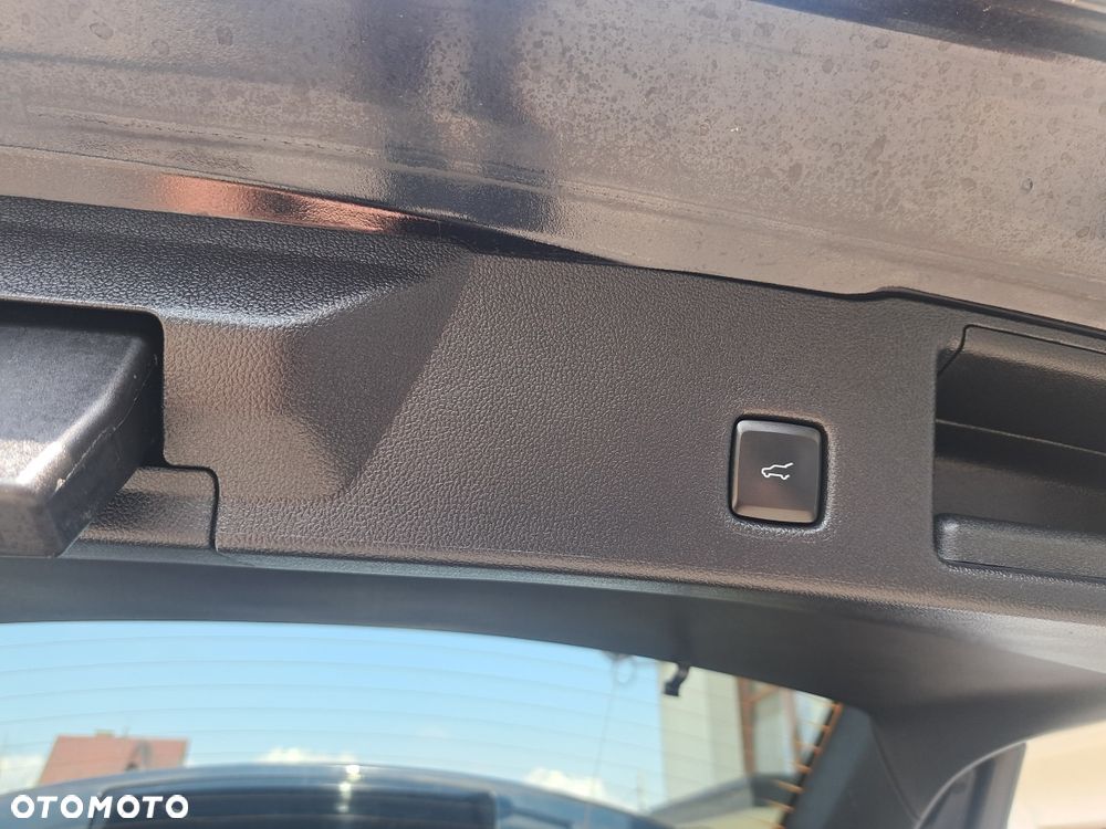 Ford Escape - 6