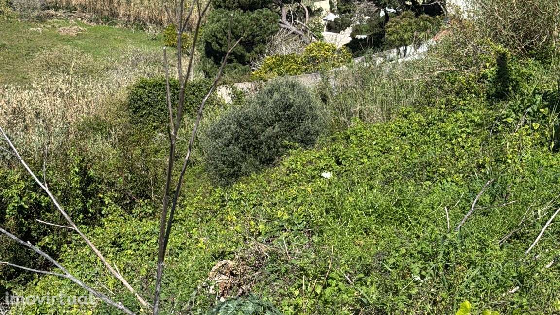 Terreno Urbano com Projeto Aprovado para 4 Moradias - Grande imagem: 2/6