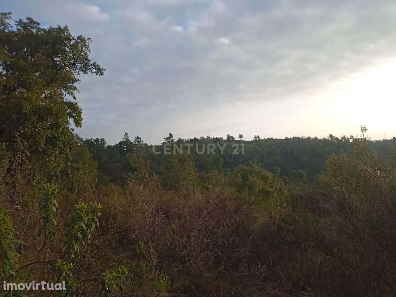 Terreno rustico em Palvarinho - Grande imagem: 2/6