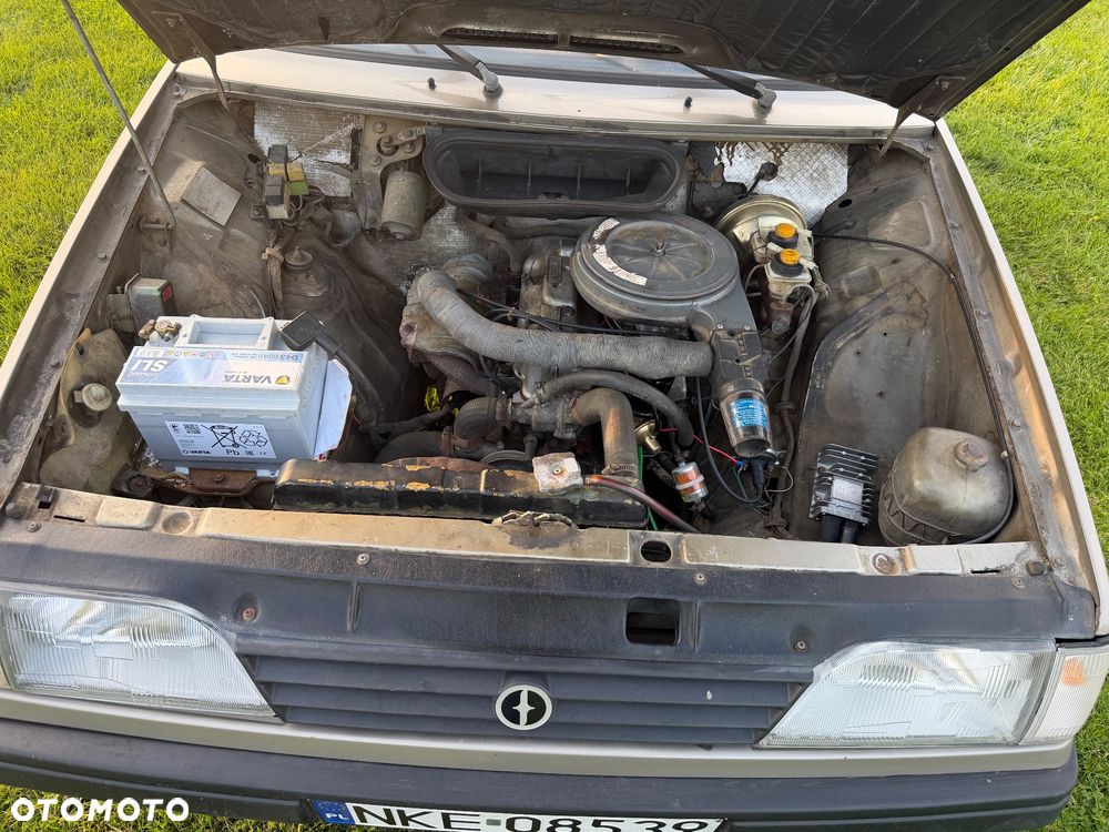 Polonez Caro - 7