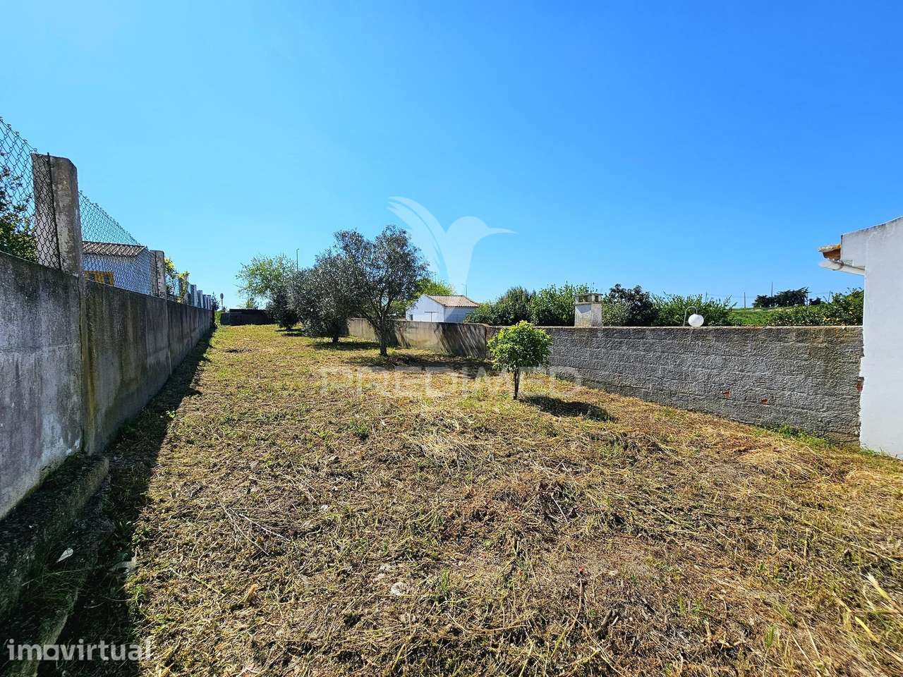 Terreno Urbano com Garagem e Horta em Casével - Grande imagem: 2/14