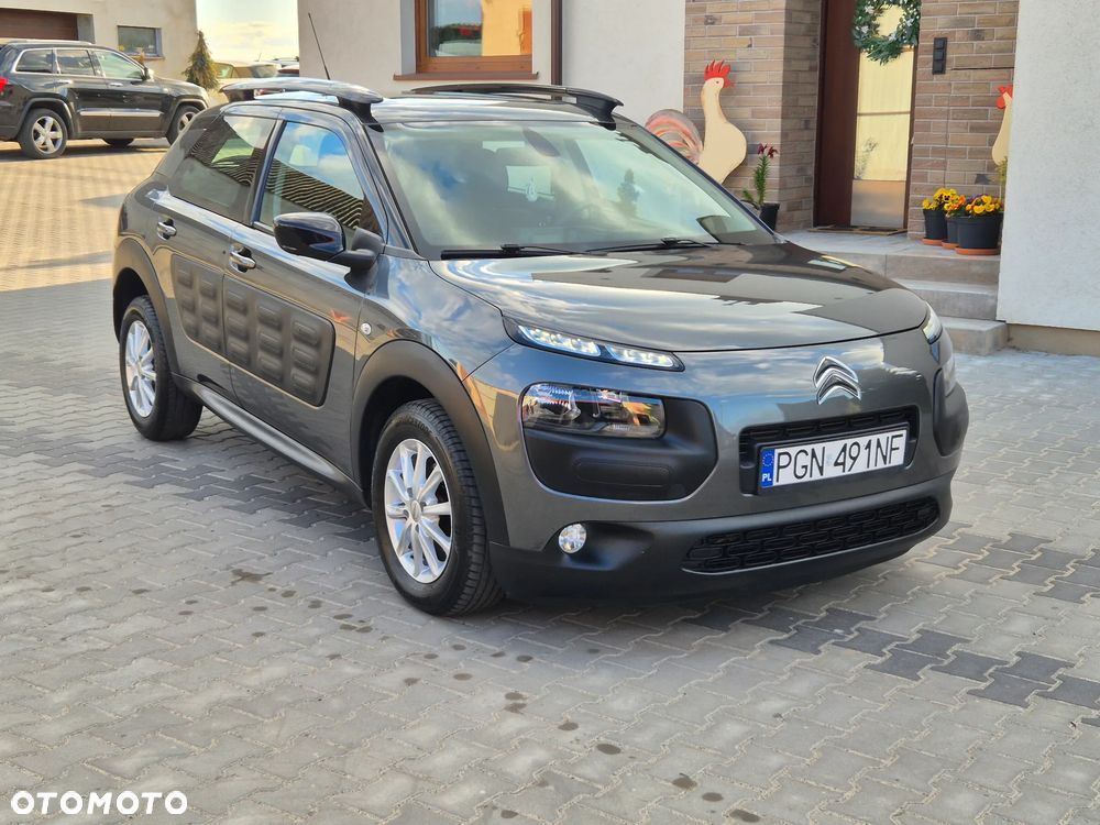 Citroën C4 Cactus 1.6 Blue HDi Live - 12