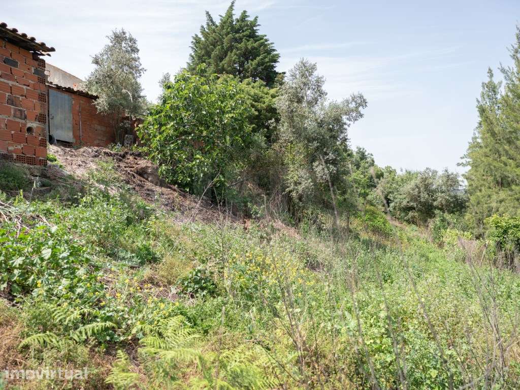 Espaço de arrecadação e arrumos, para venda, em terreno de 1720m2 - Grande imagem: 5/11