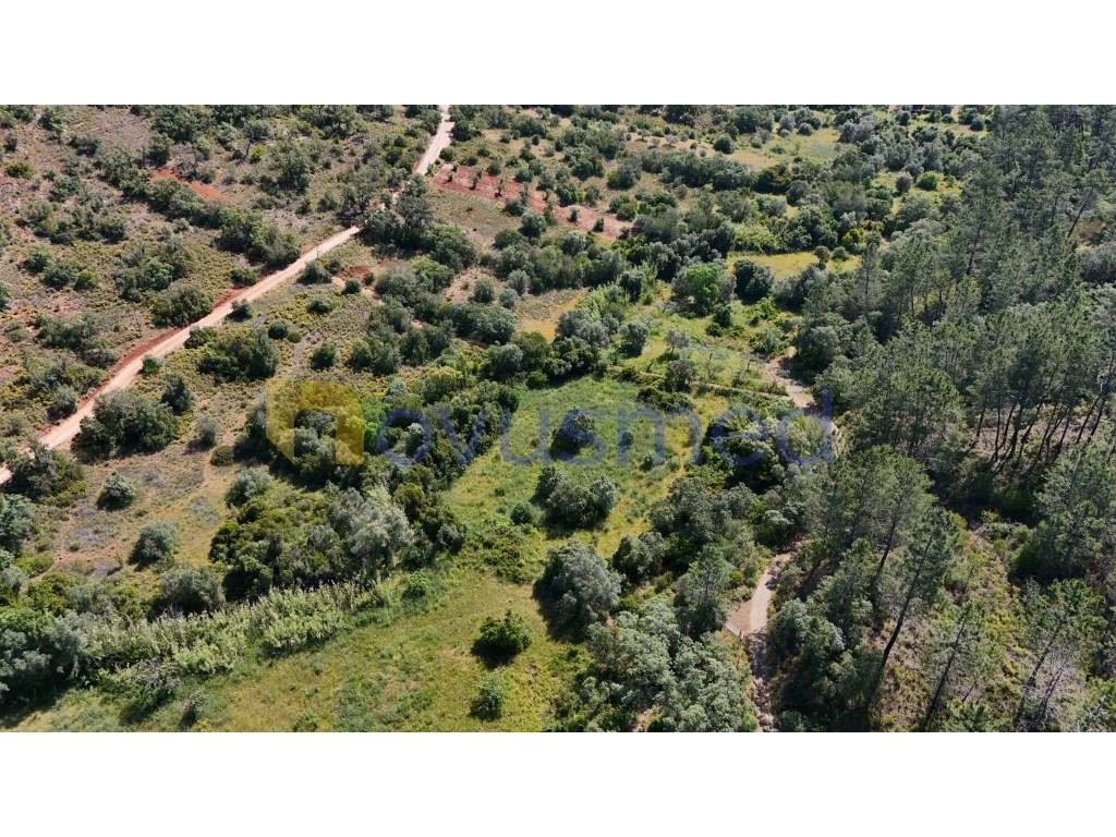Terreno Rústico de 3000m² na Encantadora Fonte Benémola - Querença,... - Grande imagem: 5/13