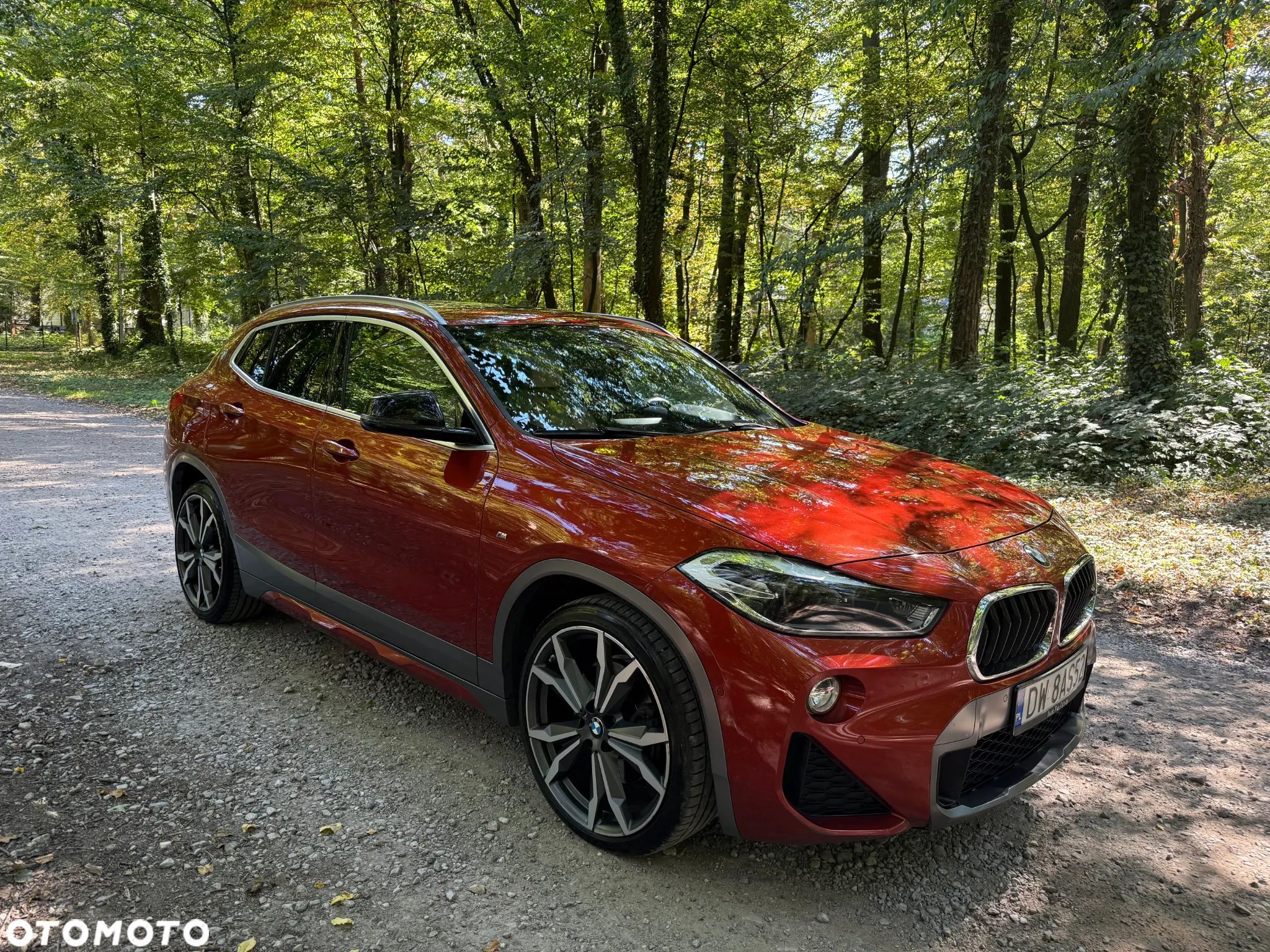 BMW X2 sDrive20i M Sport - 1