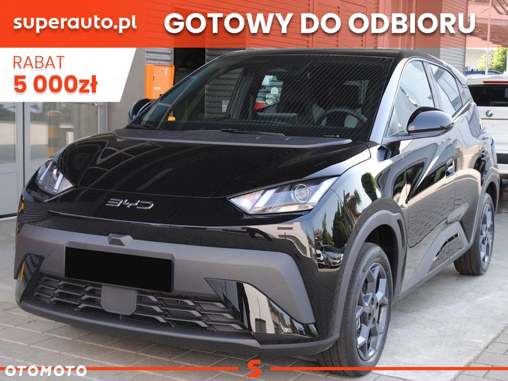 BYD Dolphin Surf - 1