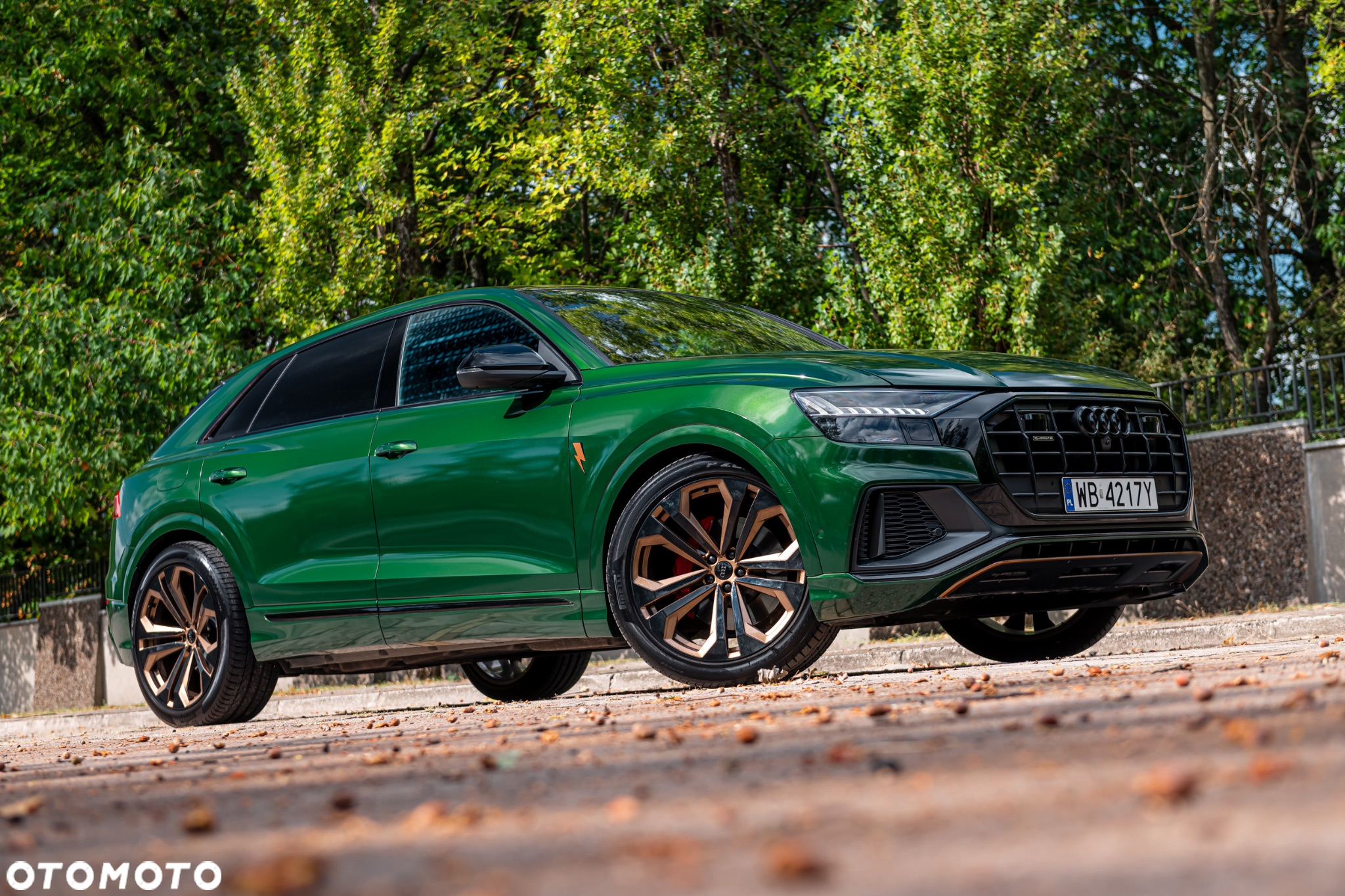 Audi Q8 - 12