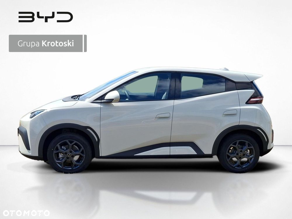 BYD Dolphin Surf - 4