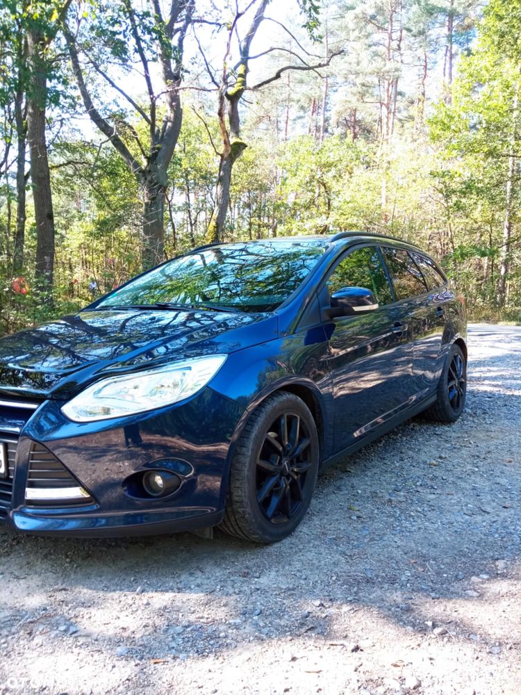 Ford Focus 1.6 TDCi DPF Champions Edition - 17