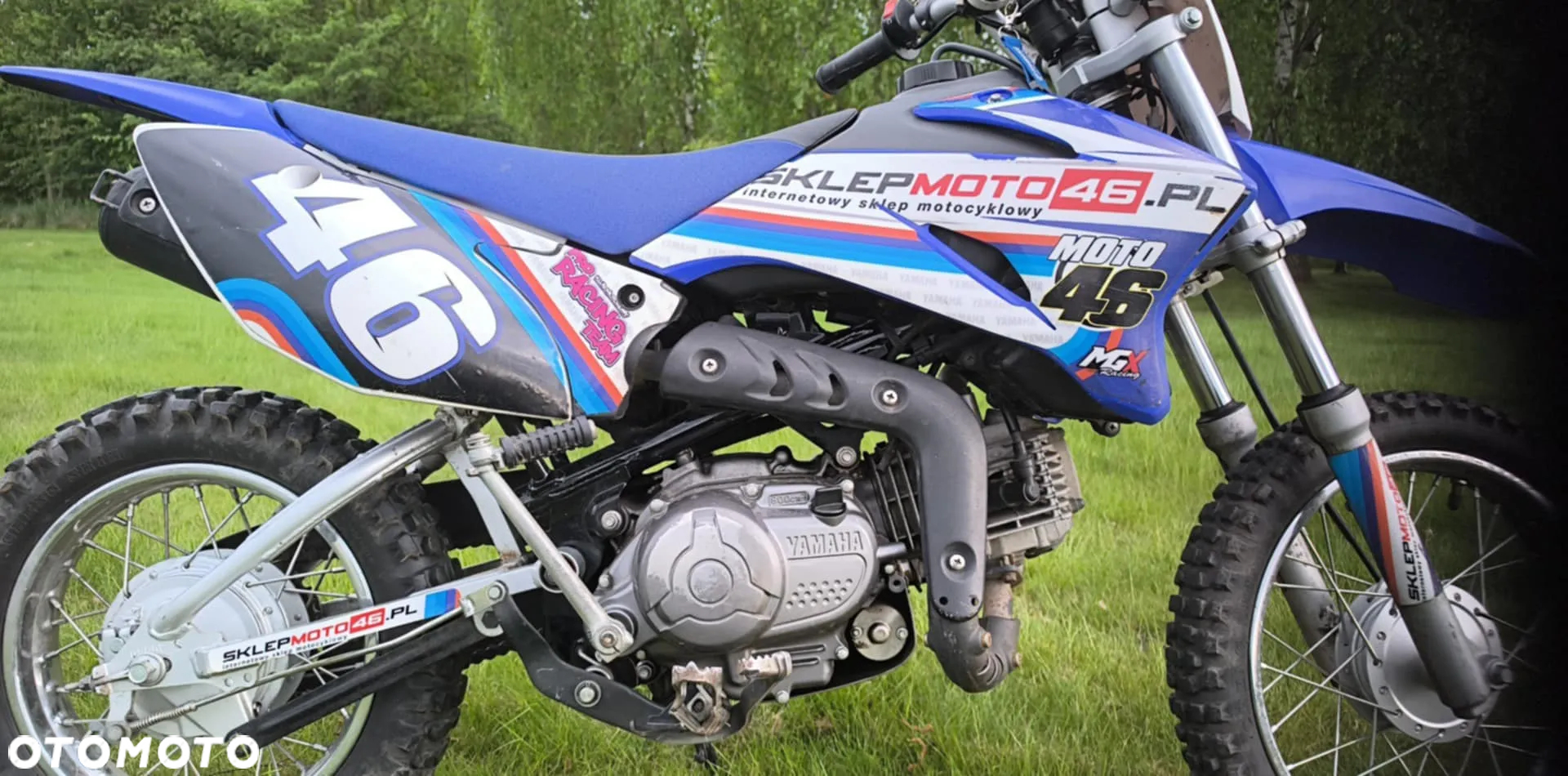 Yamaha TTR