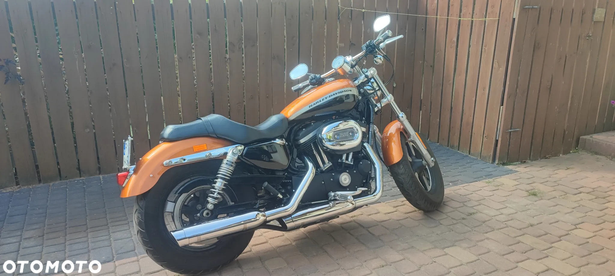 Harley-Davidson Sportster Custom 1200C - 18