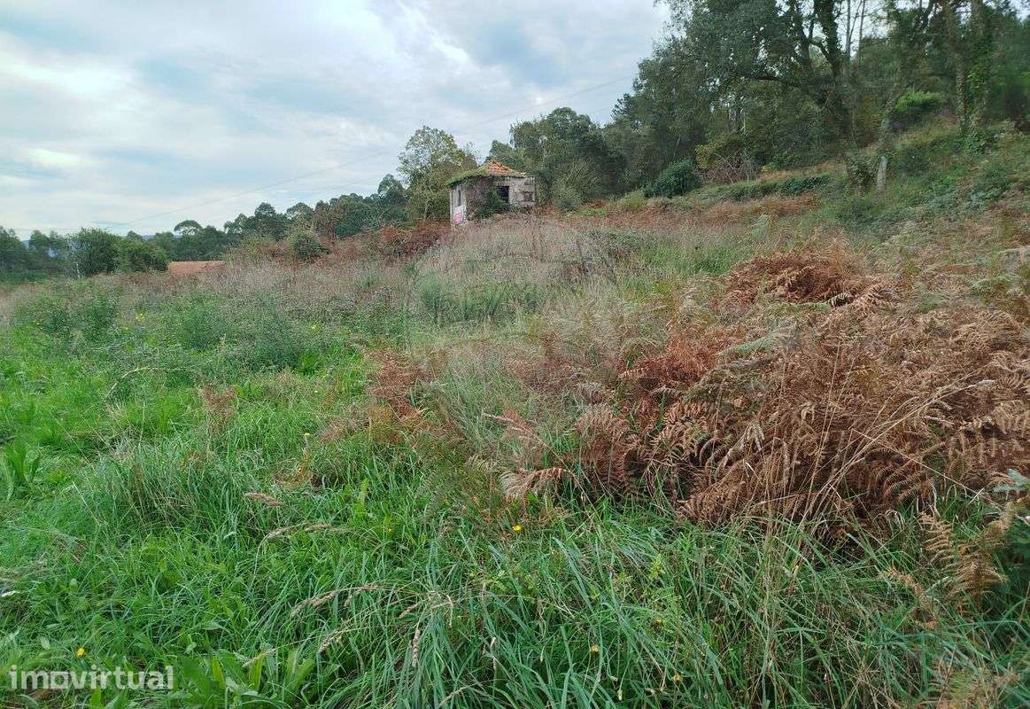 Terreno  para venda - Grande imagem: 5/11