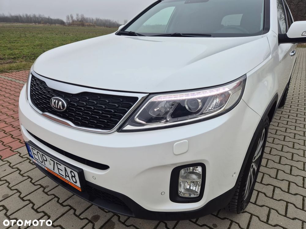 Kia Sorento - 22