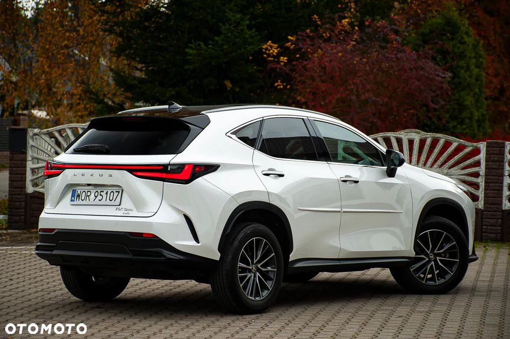Lexus NX - 18