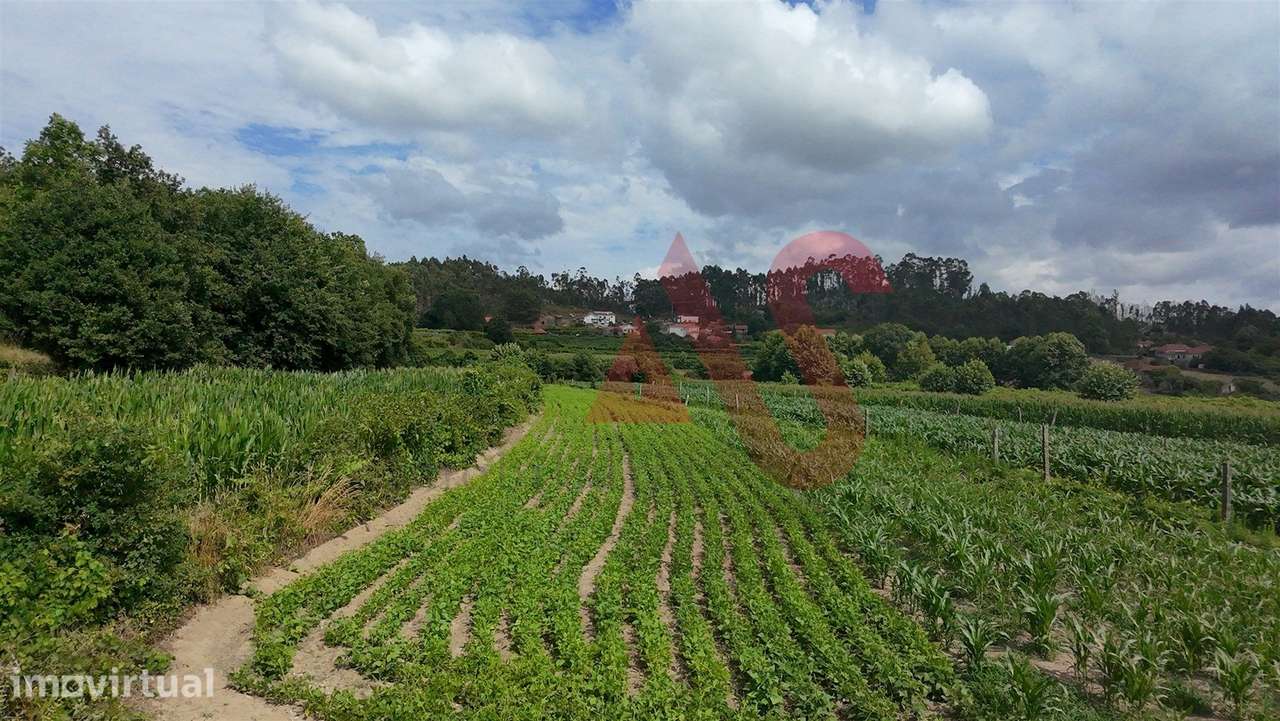 Terreno Agrícola com 2290m2 em Silvares, Lousada - Grande imagem: 4/10