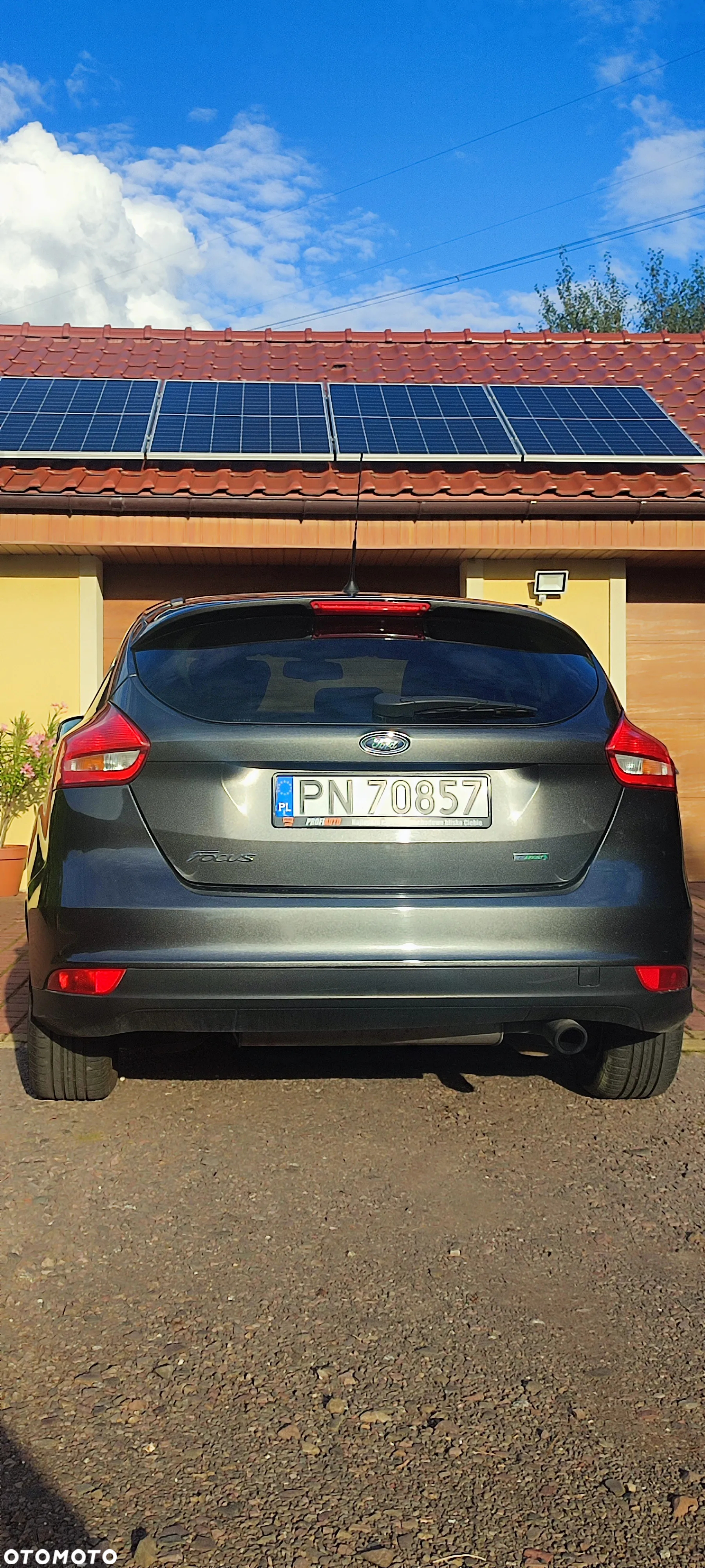 Ford Focus 1.5 EcoBoost Titanium ASS - 19