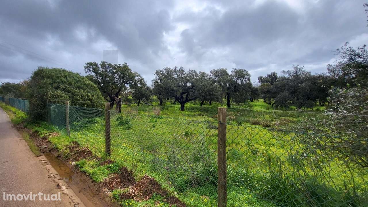 Terreno rústico - Grande imagem: 2/5