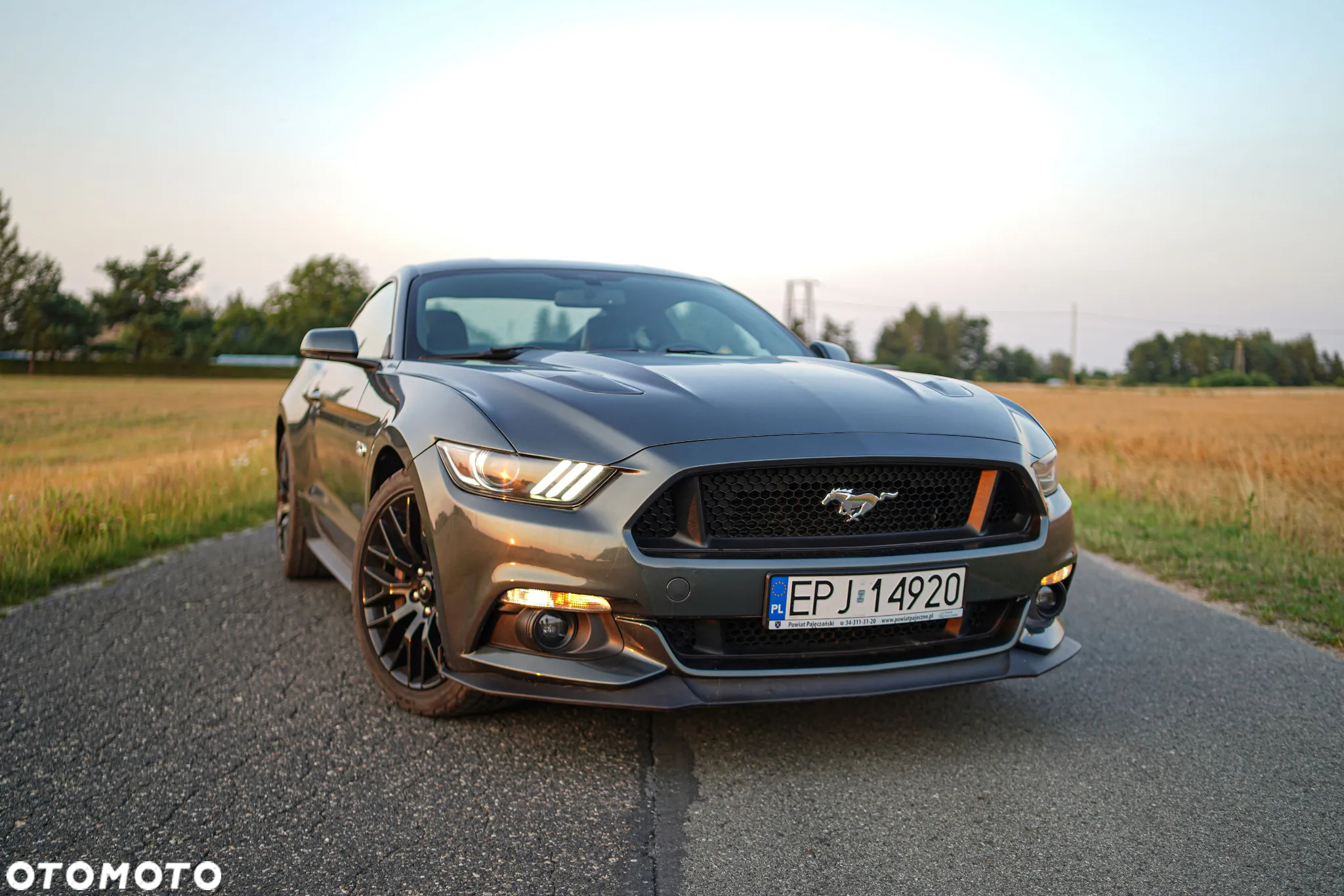 Ford Mustang 5.0 V8 GT - 3
