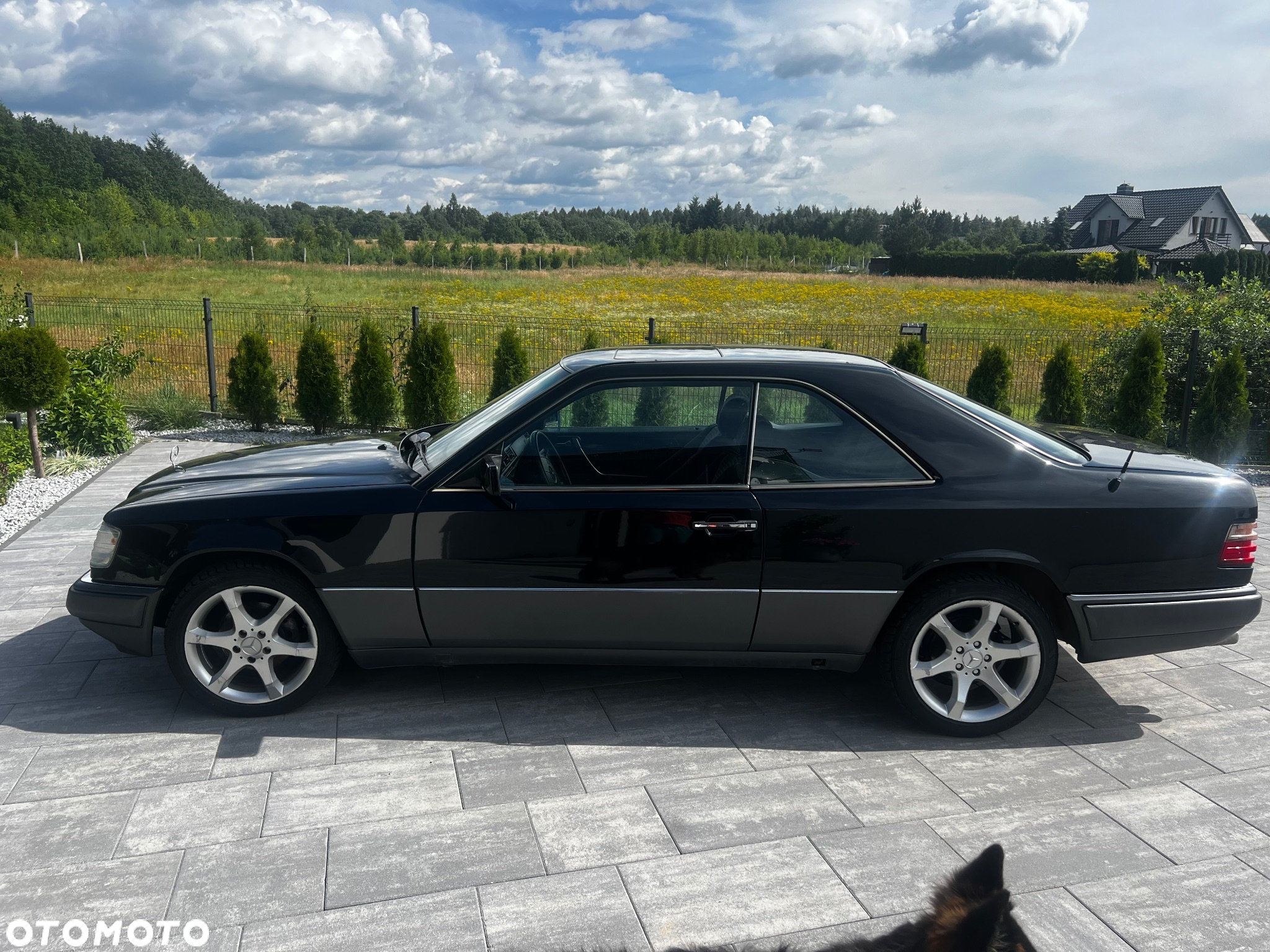 Mercedes-Benz W124 (1984-1993) - 5