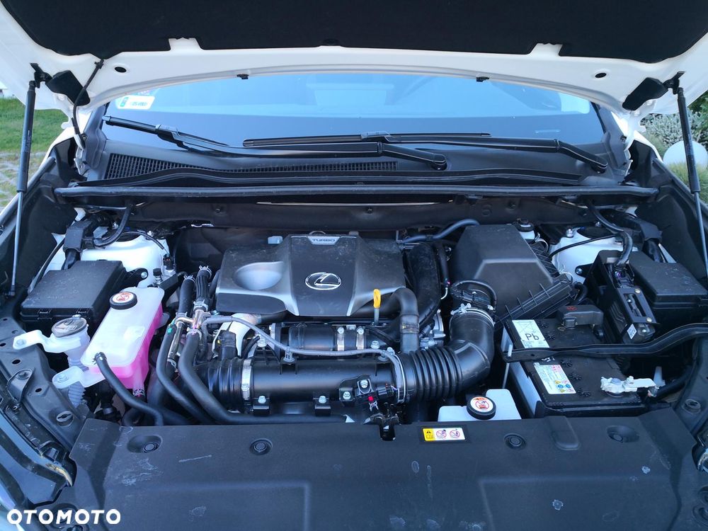 Lexus NX 300 Optimum AWD - 6