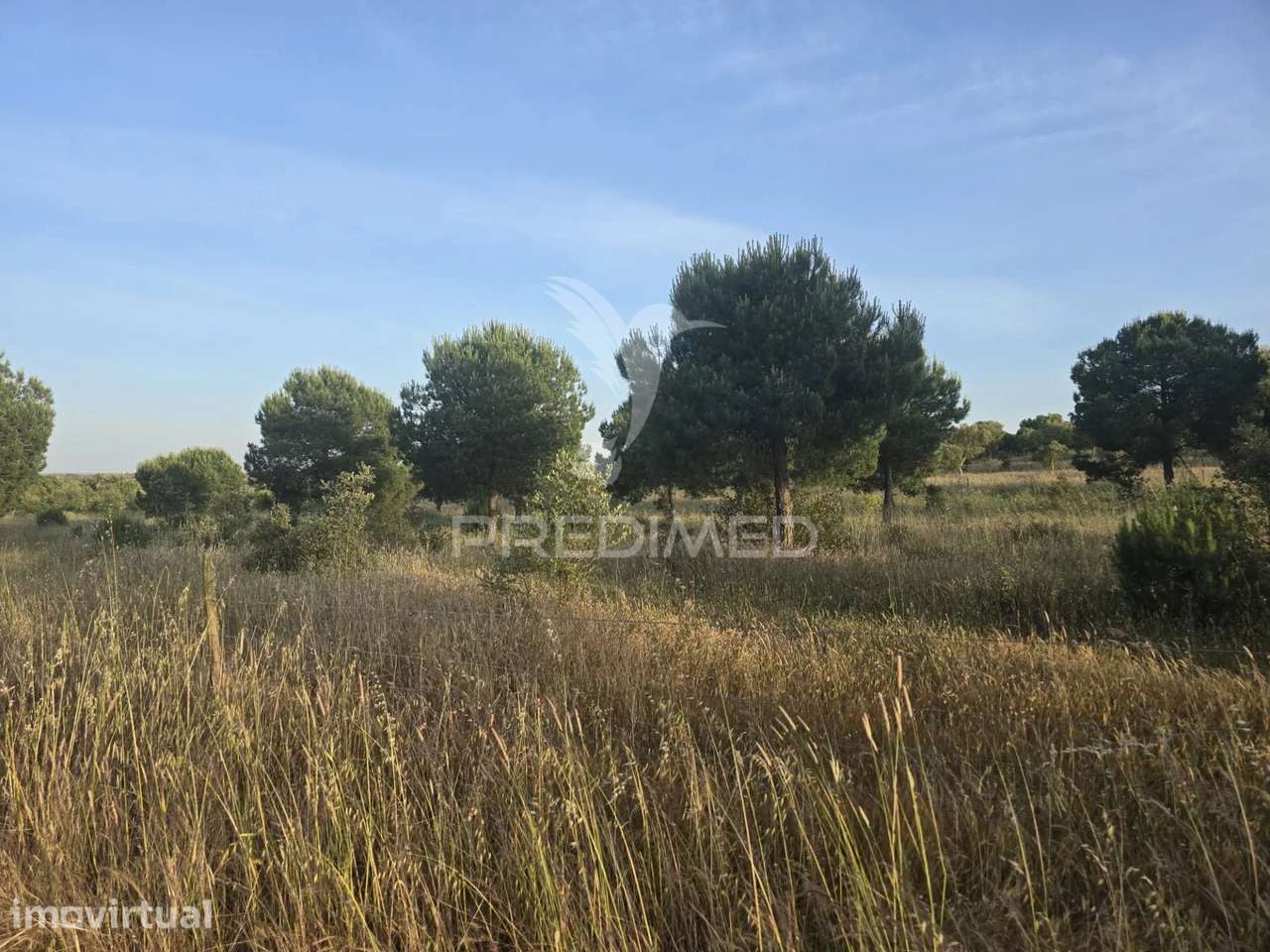 HERDADE COM 55,9 HECTARES E RUÍNA COM POTENCIAL TURÍSTICO NO CONCEL... - Grande imagem: 4/10