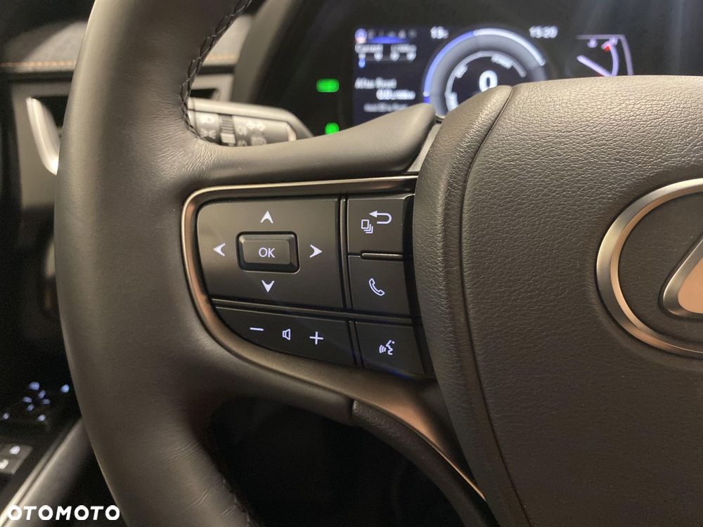 Lexus UX 250h GPF F Sport Design 2WD - 14