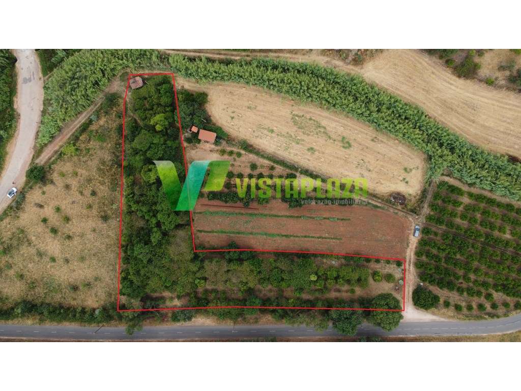 Terreno Rustico em Santo Estevão - Silves - Grande imagem: 3/28