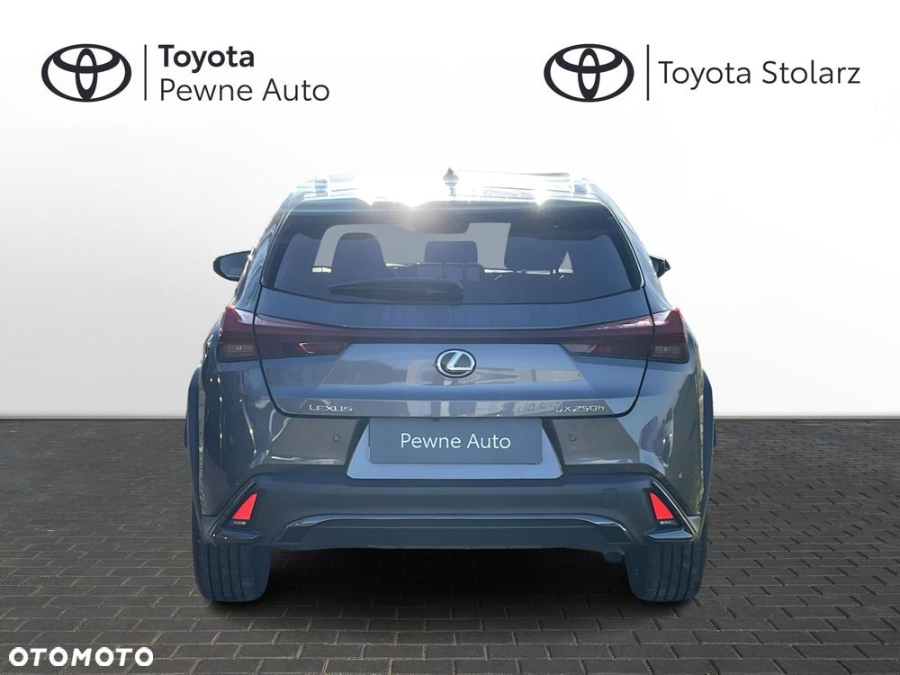 Lexus UX 250h GPF F Sport Design 2WD - 6