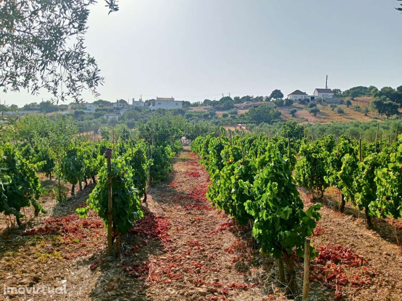 Terreno Rústico com 6.240 m² - Grande imagem: 4/13