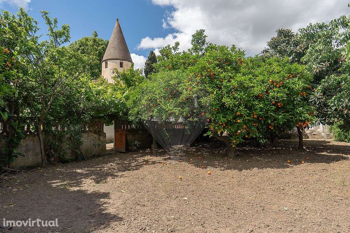 Moradia T10 para venda - Grande imagem: 3/15