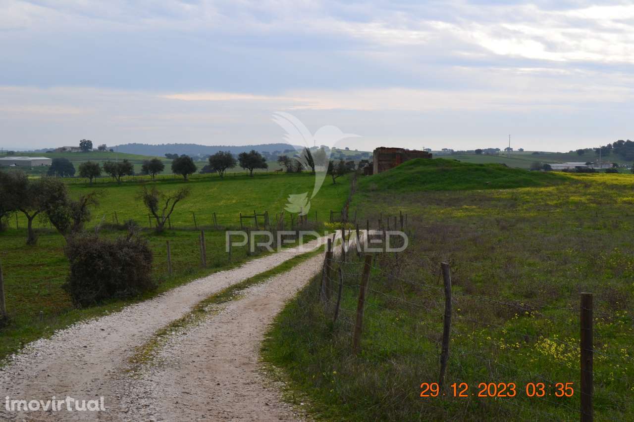 Terreno Rustico - Grande imagem: 4/20