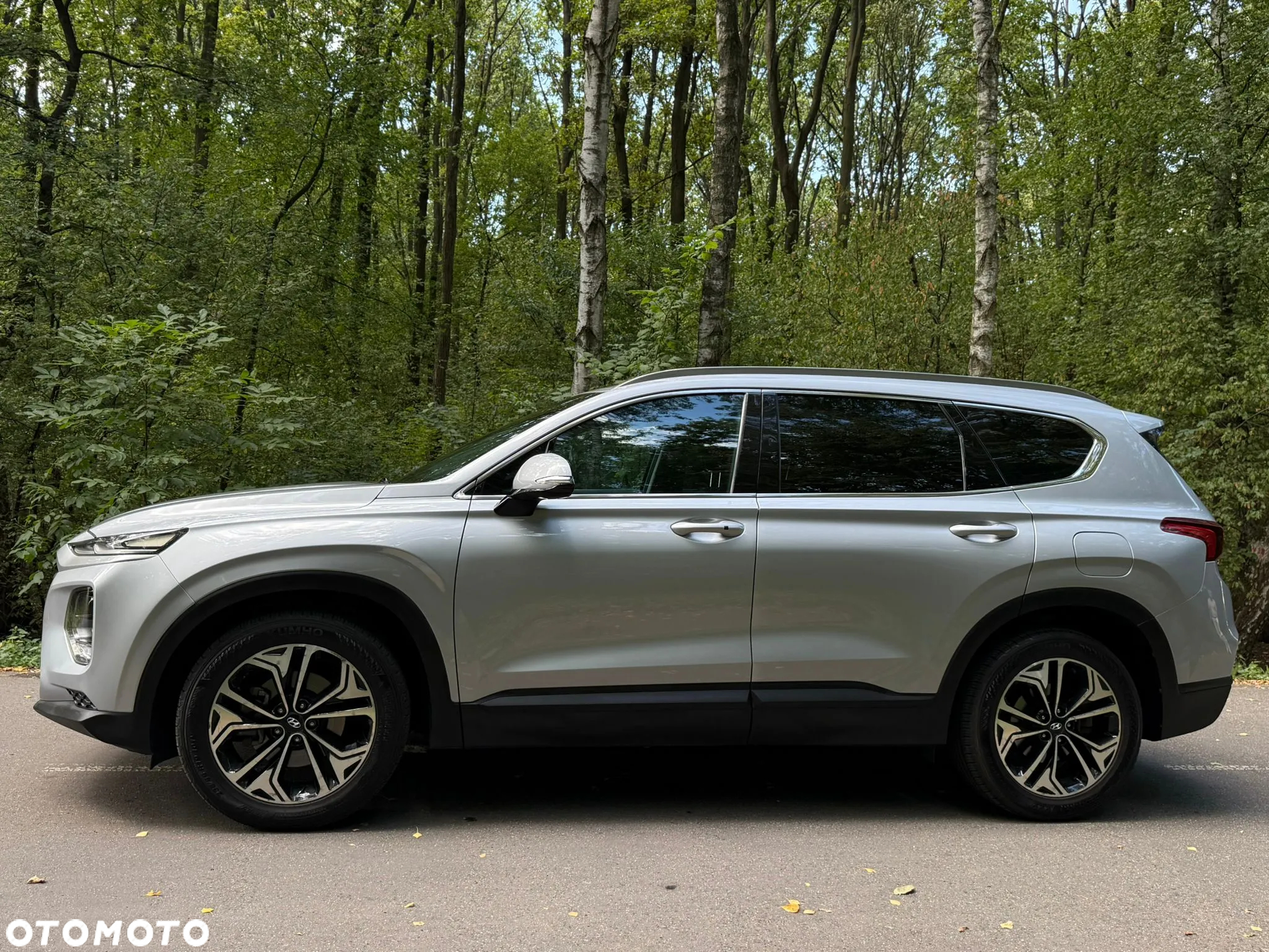 Hyundai Santa Fe - 3