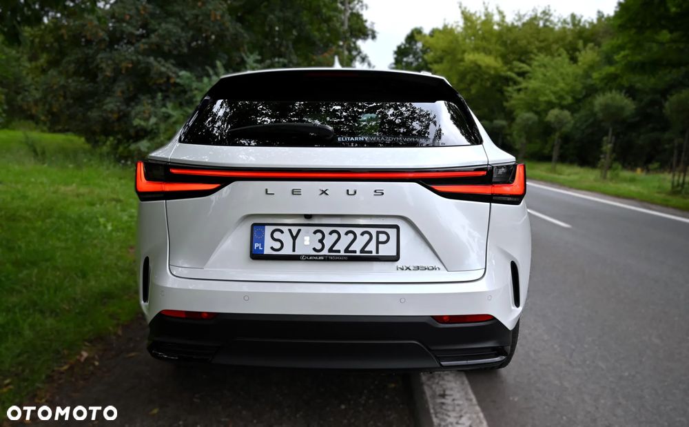 Lexus NX - 13