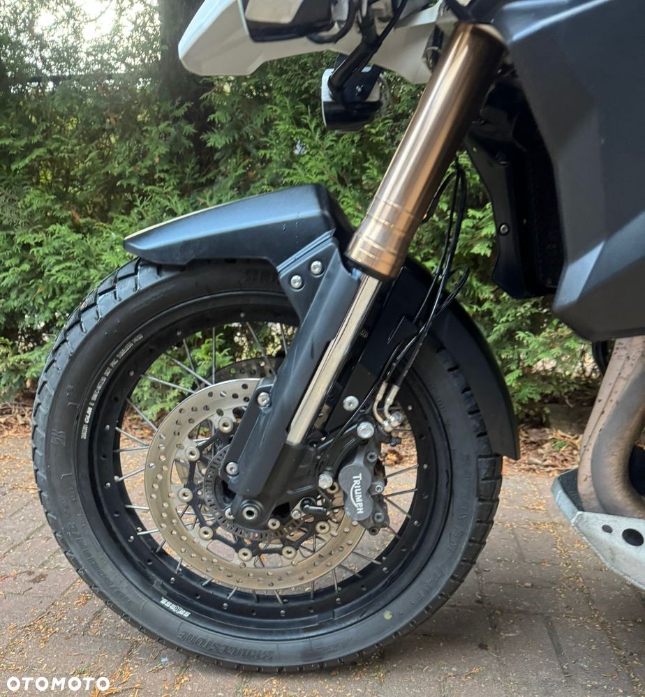 Triumph Tiger - 15
