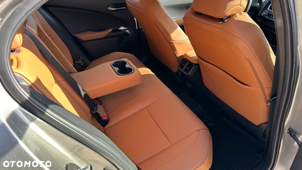 Lexus UX 250h GPF Prestige AWD - 25